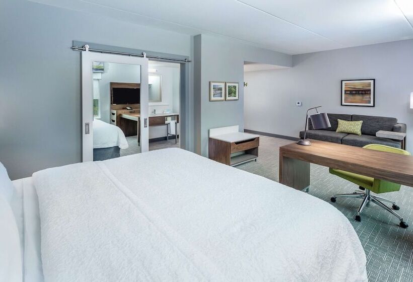 호텔 Hampton Inn & Suites Saraland Mobile