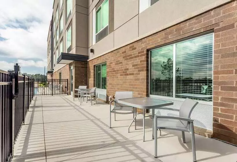 ホテル Hampton Inn & Suites Saraland Mobile