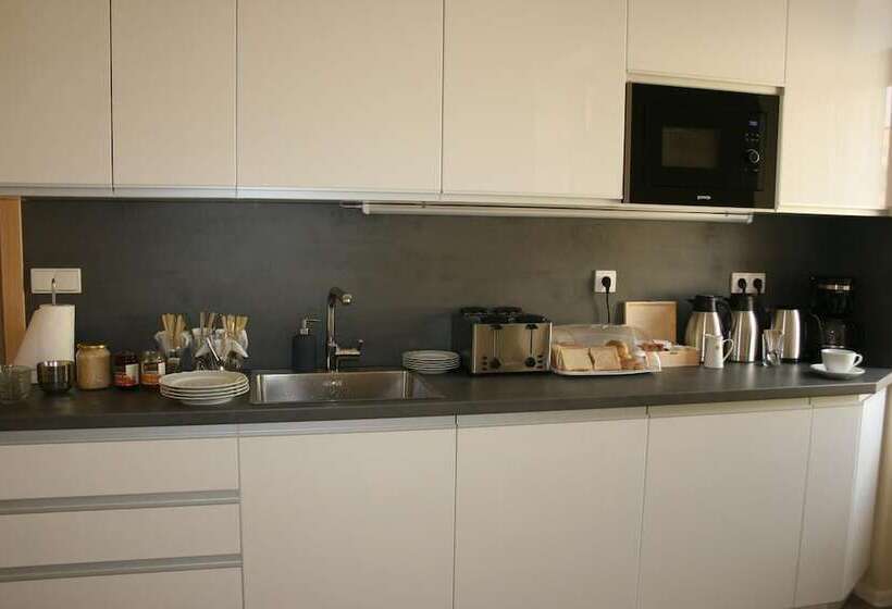 פנסיון Lázeňský Dům Florentini