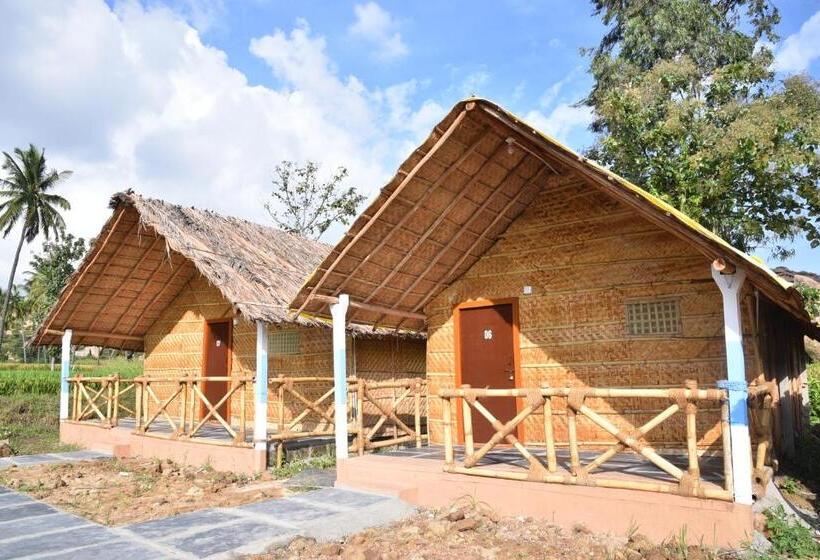 Pensió Dream Mango Hampi