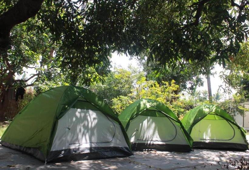 Pensió Dream Mango Hampi