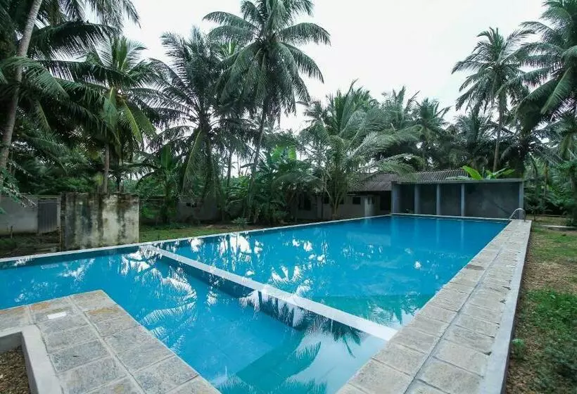 پانسیون Sea Beach Inn