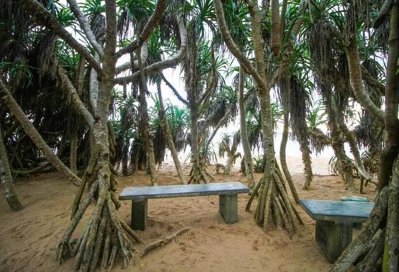 پانسیون Sea Beach Inn