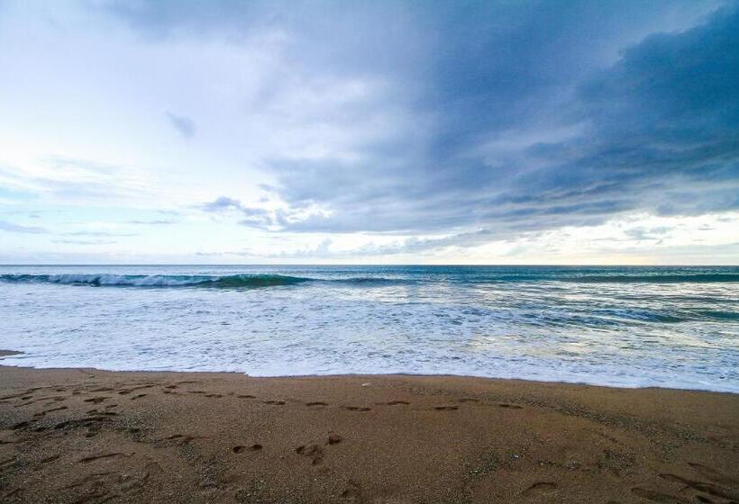 ペンション Sea Beach Inn