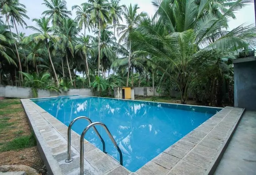 پانسیون Sea Beach Inn