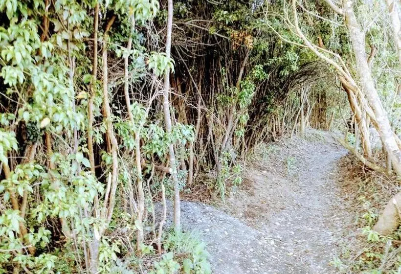 Terrazas De Nercon