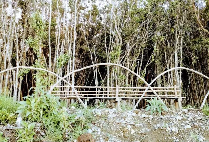 Terrazas De Nercon