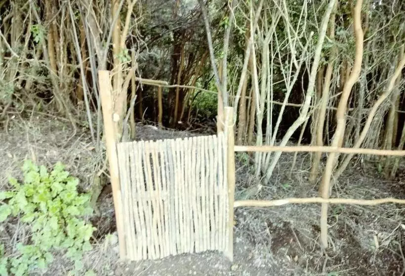 Terrazas De Nercon