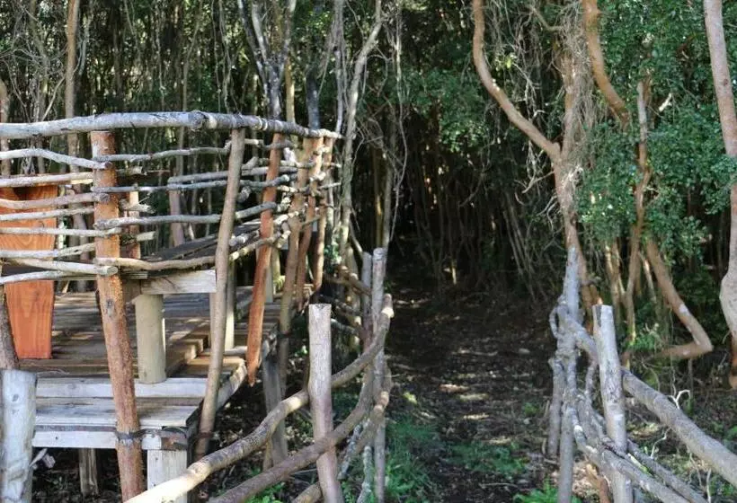 Terrazas De Nercon