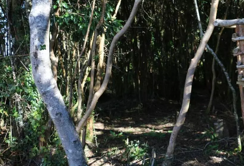 Terrazas De Nercon