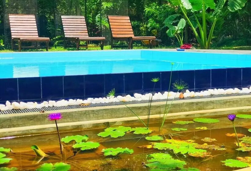 Hotelli Palmyra Nature Resort Sigiriya