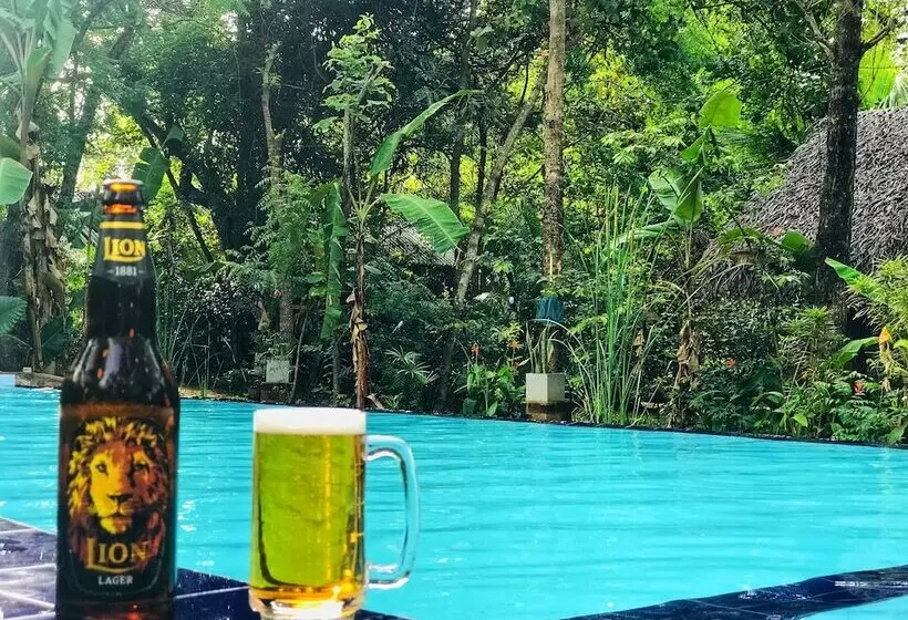 Hotelli Palmyra Nature Resort Sigiriya