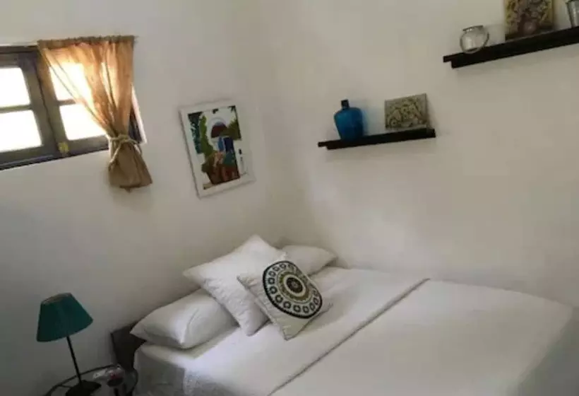 هاستل Chao Mamá Hostal