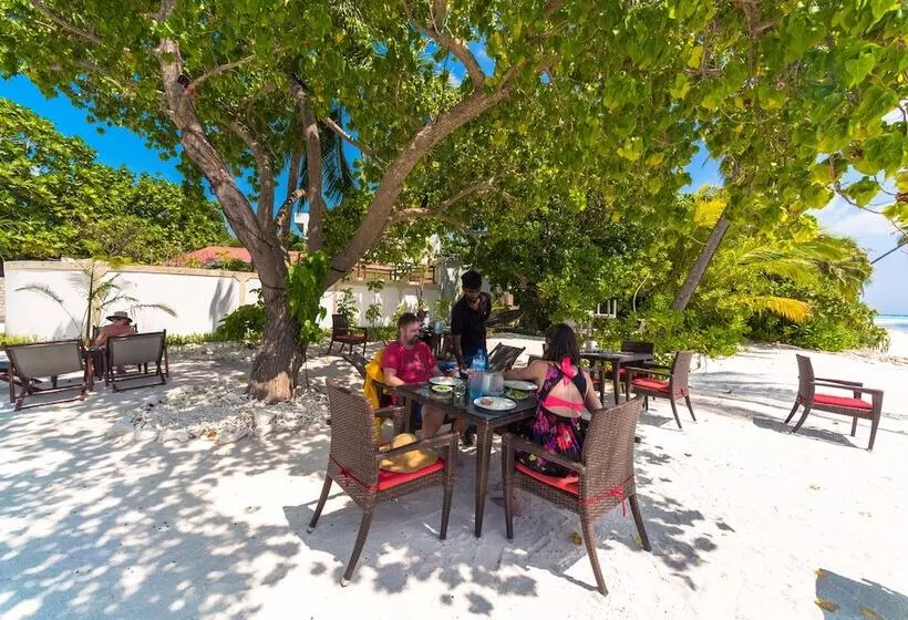 پانسیون South Ari Dive Center