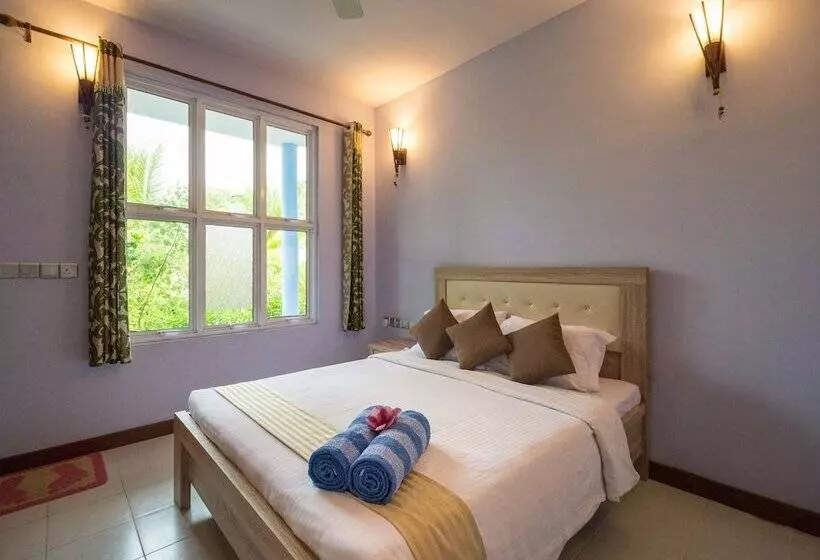 پانسیون South Ari Dive Center