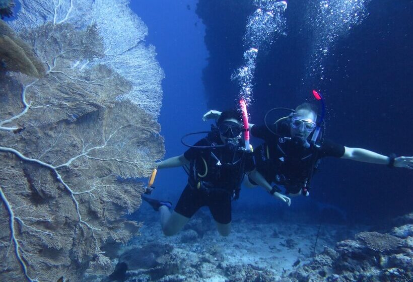 پانسیون South Ari Dive Center