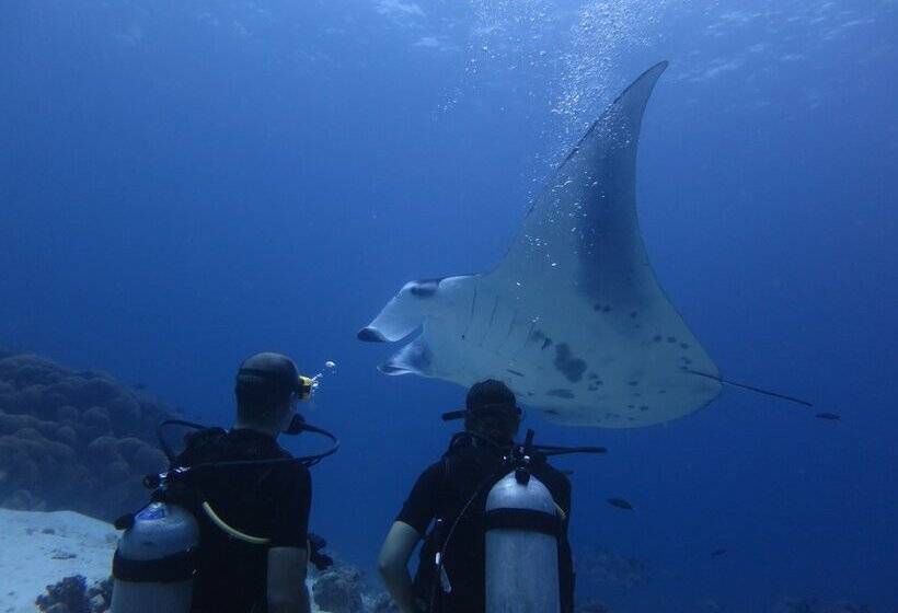 پانسیون South Ari Dive Center