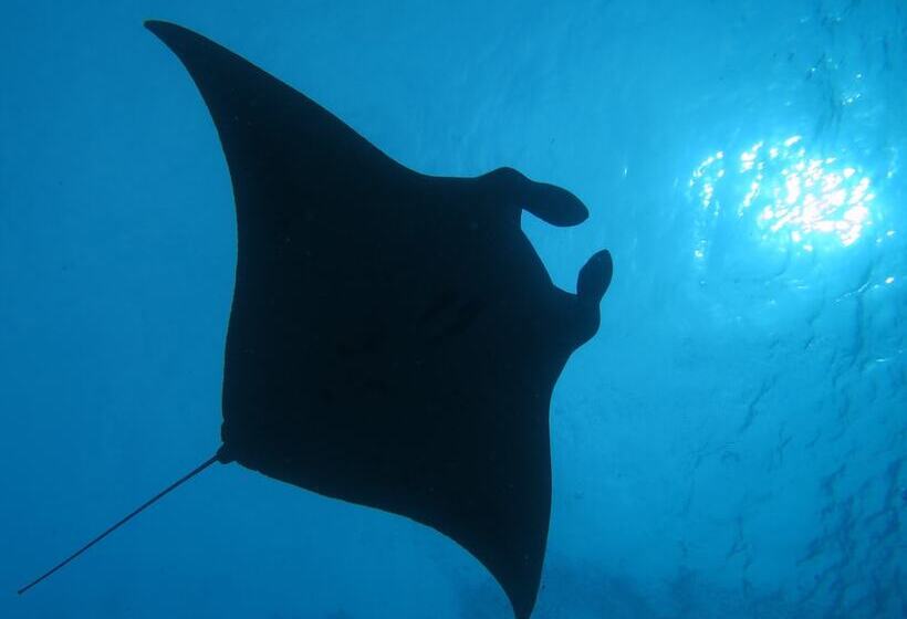 پانسیون South Ari Dive Center