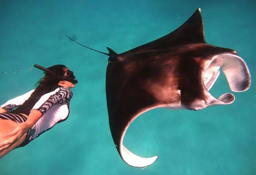 پانسیون South Ari Dive Center