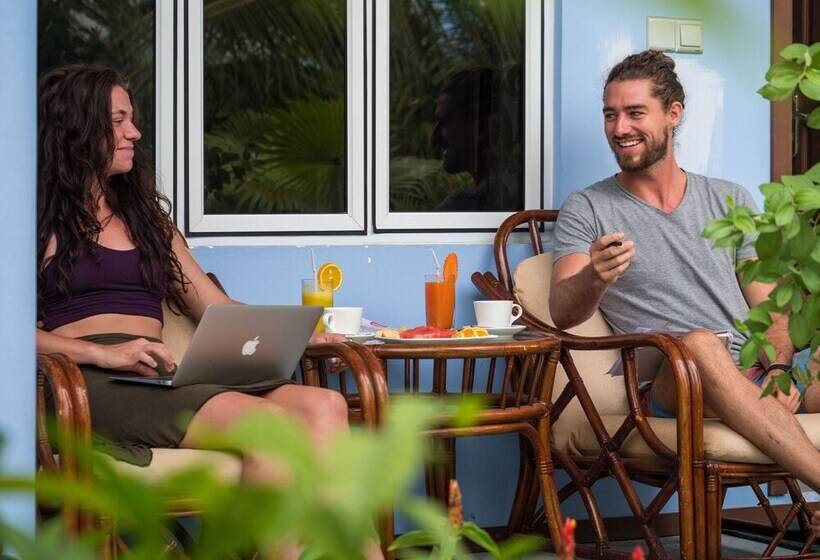 پانسیون South Ari Dive Center