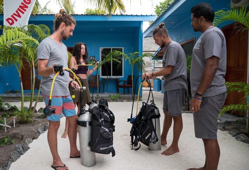 پانسیون South Ari Dive Center