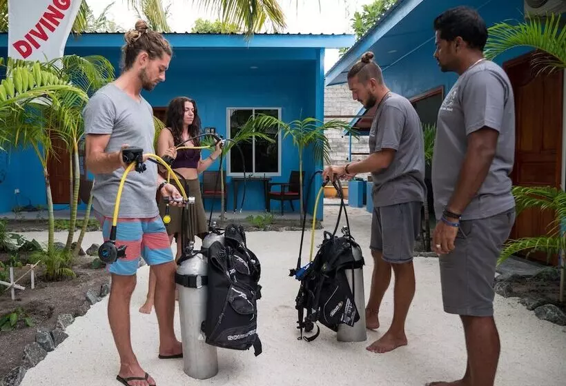 پانسیون South Ari Dive Center