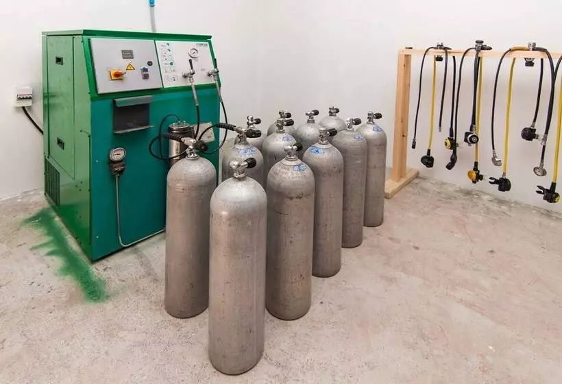 پانسیون South Ari Dive Center