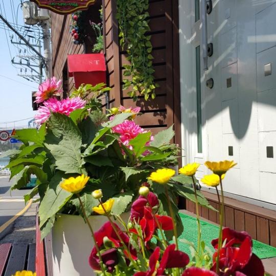 Pensione Tongyeongdaegyo Guesthouse