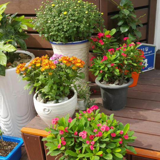 Pensione Tongyeongdaegyo Guesthouse