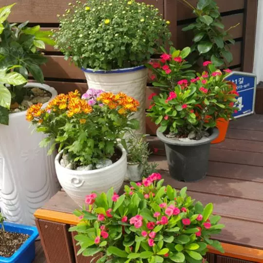 Majatalo Tongyeongdaegyo Guesthouse