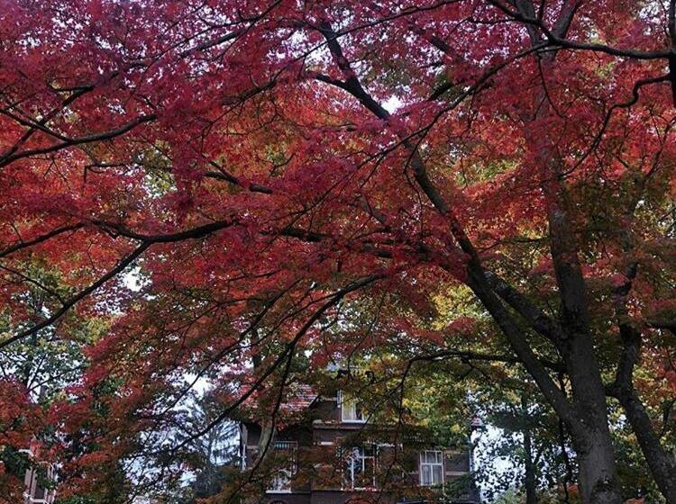 B&b Villa Anna, Venlo