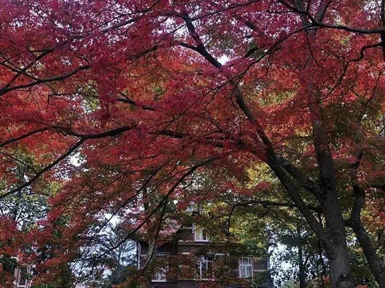 B&b Villa Anna, Venlo