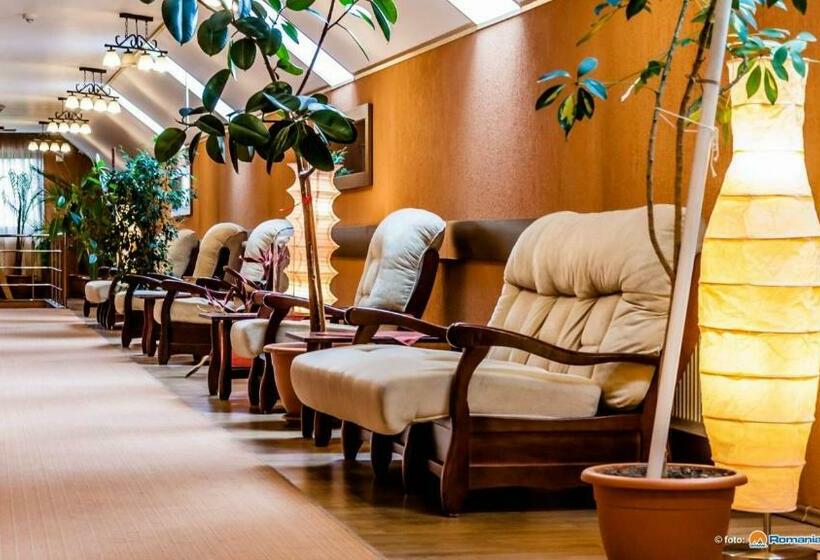 هتل Valea Regilor Reghin