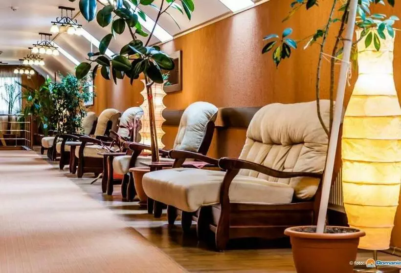 Hotel Valea Regilor Reghin