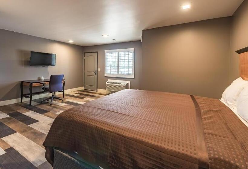 汽车旅馆 Plaza Inn