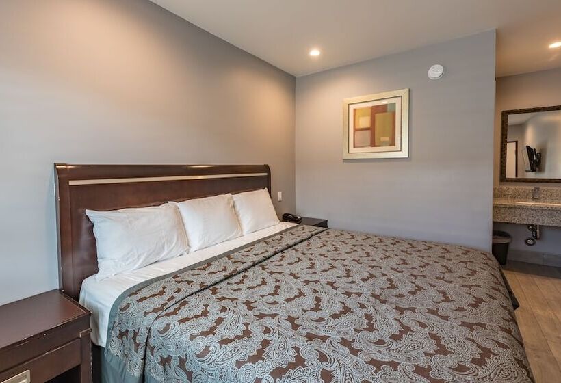 汽车旅馆 Plaza Inn