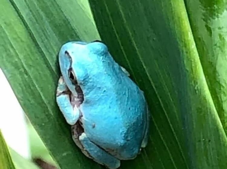 بنسيون Guest House Hostel Yukuru