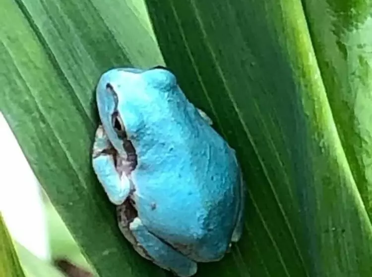 Majatalo Guest House Hostel Yukuru