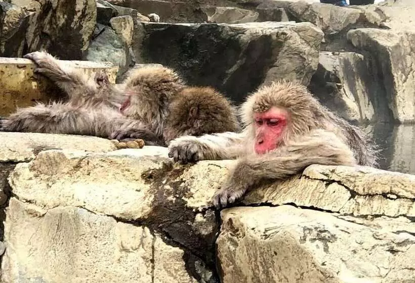 Majatalo Guest House Hostel Yukuru