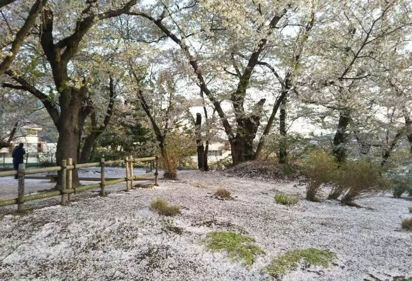 Majatalo Guest House Hostel Yukuru