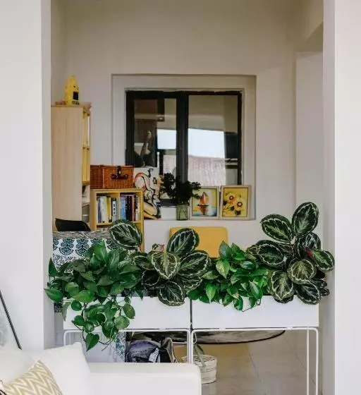 ペンション Dali Lila's House Seaview Guesthouse