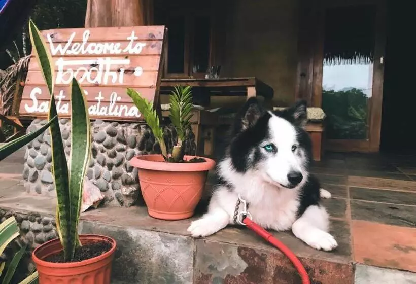 ユースホステル Bodhi Santa Catalina