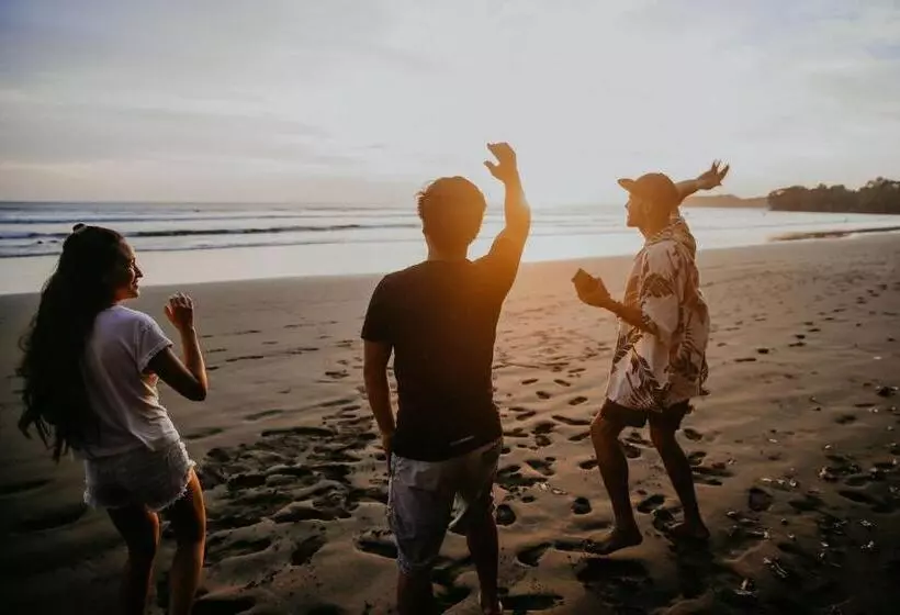 ユースホステル Bodhi Santa Catalina