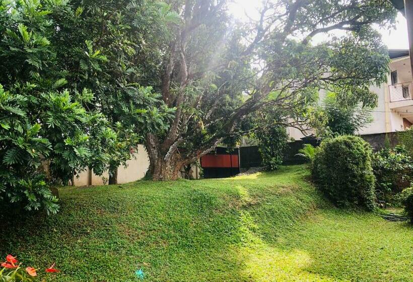 مبيت وإفطار 47 Alfred House Free Pickup From Kandy City