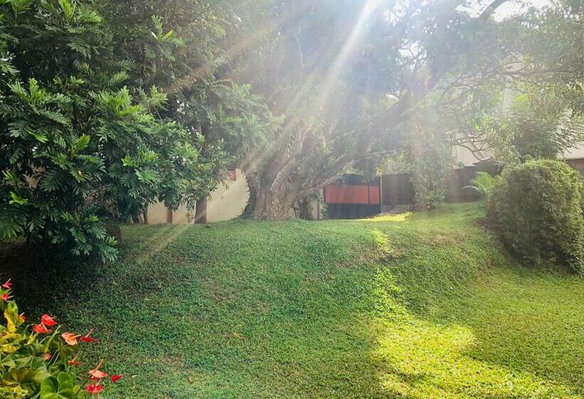 مبيت وإفطار 47 Alfred House Free Pickup From Kandy City