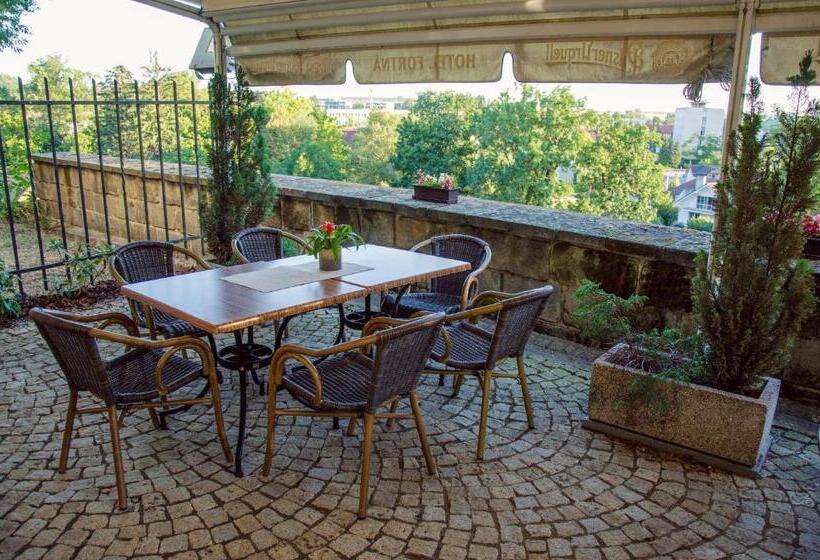 בית מלון כפרי Fortna