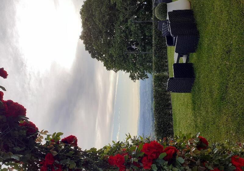 בית מלון כפרי Le Macine