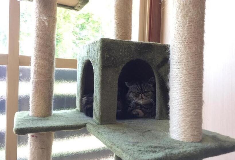 Pensão Cat Cafe & Stay Cultus S Home