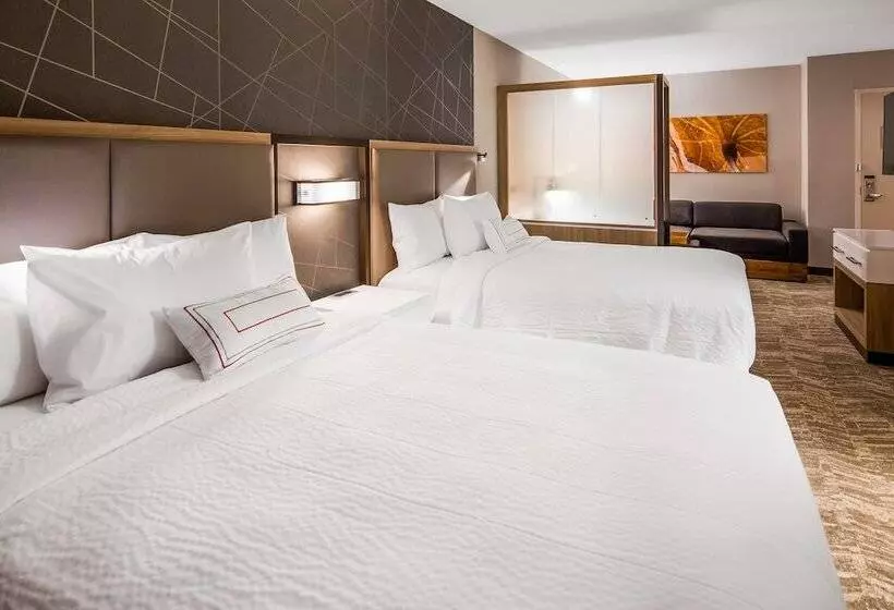 هتل Springhill Suites By Marriott Chambersburg