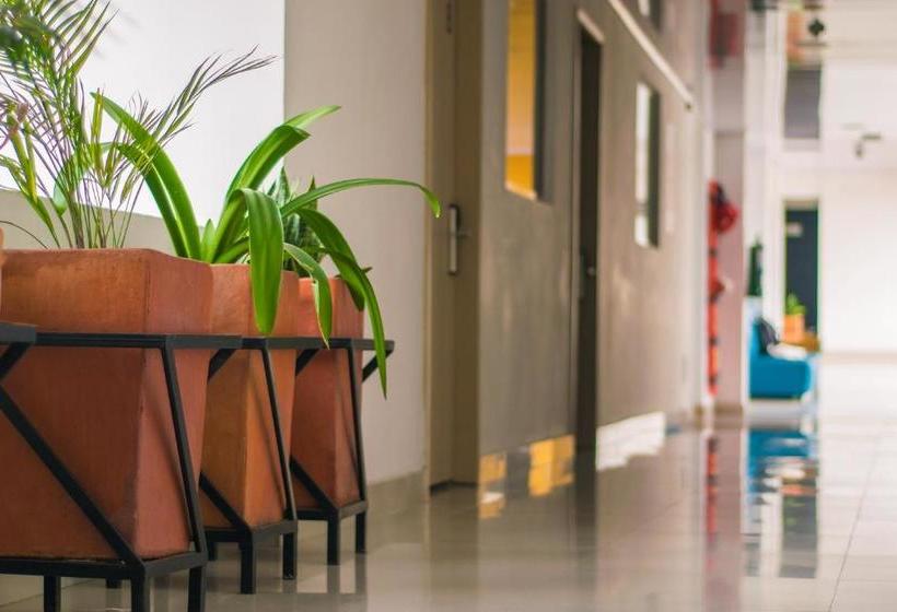 هتل Victoria Plaza Millenium